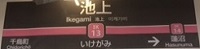 ikegami13-3fd0c.jpg