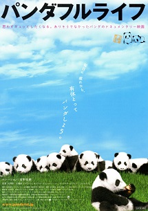 pandafulllife.jpg